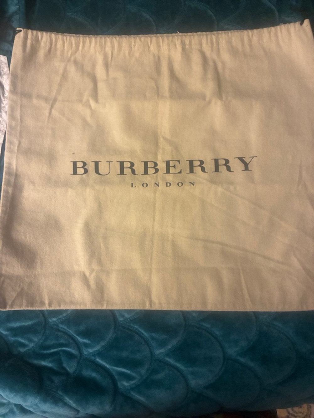 Burberry Dust Bag